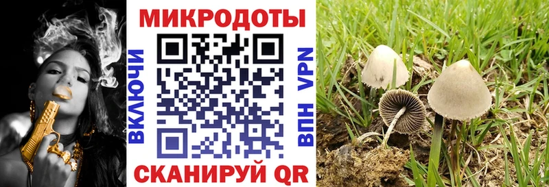 Псилоцибиновые грибы GOLDEN TEACHER  darknet наркотические препараты  Емва 